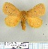  (Laeliopsis punctuligera - LBEOW-45)  @14 [ ] Unspecified (default): All Rights Reserved  Unspecified Unspecified