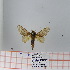  ( - Str-114)  @13 [ ] Unspecified (default): All Rights Reserved  Unspecified Unspecified