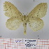  ( - Str-135)  @13 [ ] Unspecified (default): All Rights Reserved  Unspecified Unspecified
