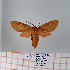  ( - Str-180)  @13 [ ] Unspecified (default): All Rights Reserved  Unspecified Unspecified