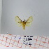  ( - Str-186)  @12 [ ] Unspecified (default): All Rights Reserved  Unspecified Unspecified