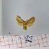  ( - Str-187)  @13 [ ] Unspecified (default): All Rights Reserved  Unspecified Unspecified