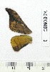  ( - VZ-BOMBC-03)  @12 [ ] Unspecified (default): All Rights Reserved  Unspecified Unspecified