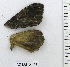  ( - VZ-LASIO-148)  @12 [ ] Unspecified (default): All Rights Reserved  Unspecified Unspecified
