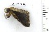  ( - VZ-LASIO-163)  @12 [ ] Unspecified (default): All Rights Reserved  Unspecified Unspecified