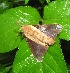  ( - VZ-LASIO-199)  @12 [ ] Unspecified (default): All Rights Reserved  Unspecified Unspecified