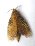  ( - VZ-LASIO-213)  @13 [ ] Unspecified (default): All Rights Reserved  Unspecified Unspecified