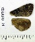  ( - VZ-LASIO-24)  @12 [ ] Unspecified (default): All Rights Reserved  Unspecified Unspecified