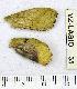 ( - VZ-LASIO-35)  @12 [ ] Unspecified (default): All Rights Reserved  Unspecified Unspecified