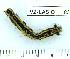  ( - VZ-LASIO-83)  @12 [ ] Unspecified (default): All Rights Reserved  Unspecified Unspecified