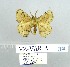  ( - VZ-VARIA-32)  @12 [ ] Unspecified (default): All Rights Reserved  Unspecified Unspecified