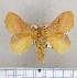  (Craspia dubia - LBEOW-40)  @15 [ ] Unspecified (default): All Rights Reserved  Unspecified Unspecified