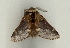  ( - LASIO-DR-248)  @13 [ ] Unspecified (default): All Rights Reserved  Unspecified Unspecified