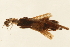  ( - 09PROBE-02708)  @13 [ ] CreativeCommons - Attribution (2010) Unspecified Centre for Biodiversity Genomics