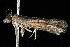  ( - 05-ACTC-107)  @13 [ ] Copyright (2010) Unspecified Unspecified