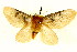  ( - BIOUG01333-B08)  @13 [ ] CreativeCommons - Attribution (2011) CBG Photography Group Centre for Biodiversity Genomics