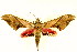  ( - BIOUG01333-D03)  @12 [ ] CreativeCommons - Attribution (2011) CBG Photography Group Centre for Biodiversity Genomics