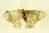  ( - BIOUG01333-E11)  @12 [ ] CreativeCommons - Attribution (2011) CBG Photography Group Centre for Biodiversity Genomics