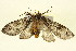  ( - BIOUG01333-H02)  @13 [ ] CreativeCommons - Attribution (2011) CBG Photography Group Centre for Biodiversity Genomics