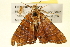  ( - BIOUG01334-A11)  @13 [ ] CreativeCommons - Attribution (2011) CBG Photography Group Centre for Biodiversity Genomics