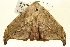  ( - BIOUG01334-C05)  @14 [ ] CreativeCommons - Attribution (2011) CBG Photography Group Centre for Biodiversity Genomics