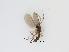  ( - LW-QMT427-2)  @11 [ ] CreativeCommonsAttribution Non-Commercial (2150) Unspecified Zhejiang A&F University