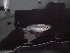  ( - KAD-PAL4.2)  @11 [ ] CreativeCommons  Attribution Non-Commercial Share-Alike (2016) Laurent POUYAUD IRD