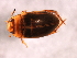  ( - 10PROBE-27069)  @13 [ ] CreativeCommons - Attribution (2010) CBG Photography Group Centre for Biodiversity Genomics