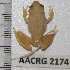  ( - AACRG2174)  @11 [ ] CreativeCommons - Attribution Non-Commercial (2017) Prof LH du Preez AACRG, North-West University
