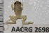  ( - AACRG2698)  @11 [ ] CreativeCommons - Attribution Non-Commercial (2017) Prof LH du Preez AACRG, North-West University