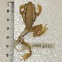  ( - AACRG3036)  @11 [ ] CreativeCommons - Attribution Non-Commercial (2017) Prof LH du Preez AACRG, North-West University