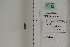 ( - LEP84832)  @11 [ ] by-nc (2022) Unspecified Florida Museum of Natural History, McGuire Center for Lepidoptera and Biodiversity