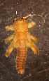  ( - USGSJJGBTWF02H)  @11 [ ] CreativeCommons  Attribution Non-Commercial Share-Alike (2016) Unspecified U. S. Geological Survey