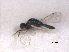  ( - RMNH.INS.100328)  @12 [ ] CreativeCommons - Attribution Non-Commercial Share-Alike (2016) Unspecified Naturalis Biodiversity Center