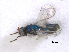  ( - RMNH.INS.100358)  @12 [ ] CreativeCommons - Attribution Non-Commercial Share-Alike (2016) Unspecified Naturalis Biodiversity Center
