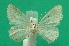  ( - KLM Lep 08673)  @12 [ ] CreativeCommons - Attribution Non-Commercial Share-Alike (2017) Christian Wieser Tiroler Landesmuseum