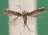  ( - KLM Lep 12363)  @11 [ ] CreativeCommons - Attribution Non-Commercial Share-Alike (2018) Christian Wieser Landesmuseum Kärnten