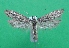  ( - KLM Lep 12411)  @11 [ ] CreativeCommons - Attribution Non-Commercial Share-Alike (2018) Christian Wieser Landesmuseum Kärnten