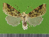  ( - KLM Lep 14585)  @11 [ ] CreativeCommons - Attribution Non-Commercial Share-Alike (2019) Christian Wieser Landesmuseum Kärnten