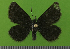  ( - KLM Lep 14673)  @13 [ ] CreativeCommons - Attribution Non-Commercial Share-Alike (2019) Christian Wieser Landesmuseum Kärnten