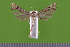  ( - KLM Lep 14876)  @11 [ ] CreativeCommons - Attribution Non-Commercial Share-Alike (2019) Christian Wieser Landesmuseum Kärnten