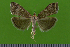  ( - KLM Lep 14881)  @13 [ ] CreativeCommons - Attribution Non-Commercial Share-Alike (2018) Christian Wieser Landesmuseum Kärnten
