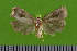  ( - KLM Lep 14910)  @12 [ ] CreativeCommons - Attribution Non-Commercial Share-Alike (2018) Christian Wieser Landesmuseum Kärnten
