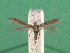  ( - KLM Lep 14940)  @11 [ ] CreativeCommons - Attribution Non-Commercial Share-Alike (2018) Christian Wieser Landesmuseum Kärnten