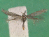  ( - KLM Lep 14989)  @11 [ ] CreativeCommons - Attribution Non-Commercial Share-Alike (2018) Christian Wieser Landesmuseum Kärnten