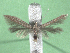  ( - KLMLep15786)  @11 [ ] CreativeCommons - Attribution Non-Commercial Share-Alike (2022) Christian Wieser Landesmuseum Kärnten