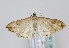  ( - TLMF Lep 10375)  @13 [ ] CreativeCommons - Attribution Non-Commercial Share-Alike (2013) Peter Huemer Tiroler Landesmuseum Ferdinandeum
