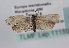  ( - TLMF Lep 11159)  @13 [ ] CreativeCommons - Attribution Non-Commercial Share-Alike (2013) Peter Huemer Tiroler Landesmuseum Ferdinandeum