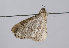  ( - TLMF Lep 11359)  @12 [ ] CreativeCommons - Attribution Non-Commercial Share-Alike (2013) Unspecified Tiroler Landesmuseum Ferdinandeum