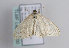  (Scopula floslactata - TLMF Lep 11400)  @15 [ ] CreativeCommons - Attribution Non-Commercial Share-Alike (2013) Unspecified Tiroler Landesmuseum Ferdinandeum